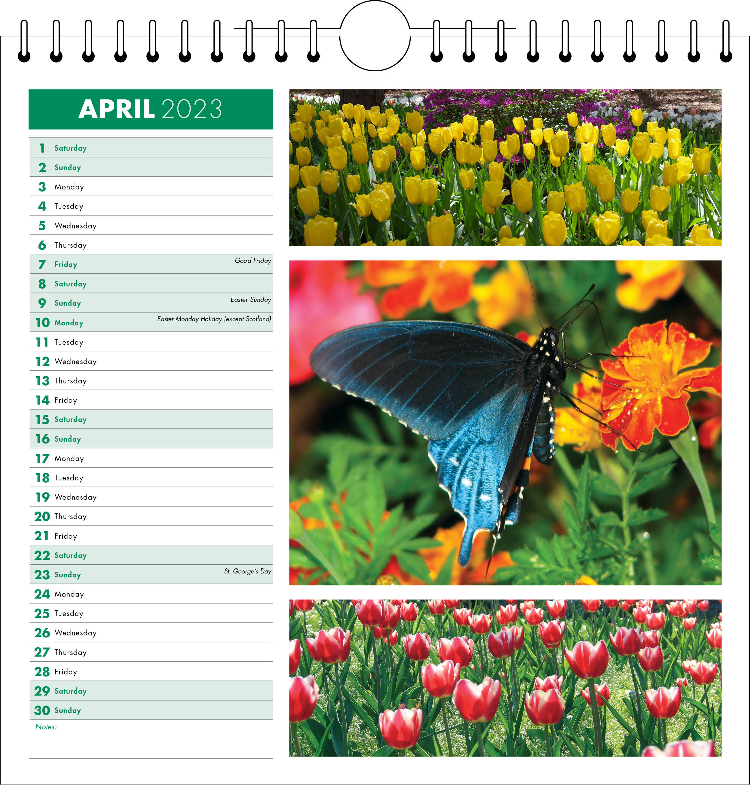 Picture of Spiral Calendar Q22 Green