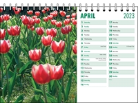 Picture of Desk Calendar D05 Green