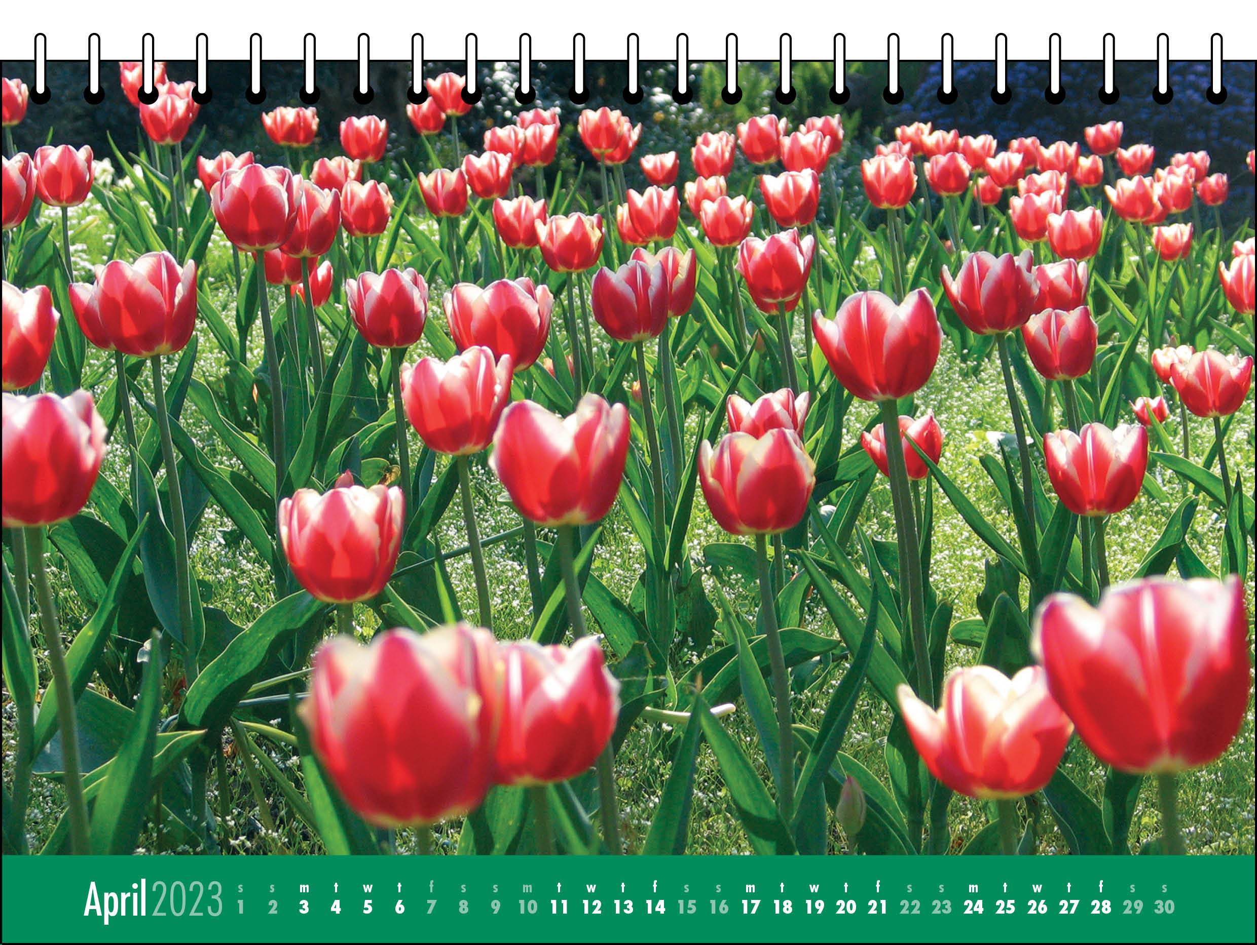 Picture of Desk Calendar D04 Green