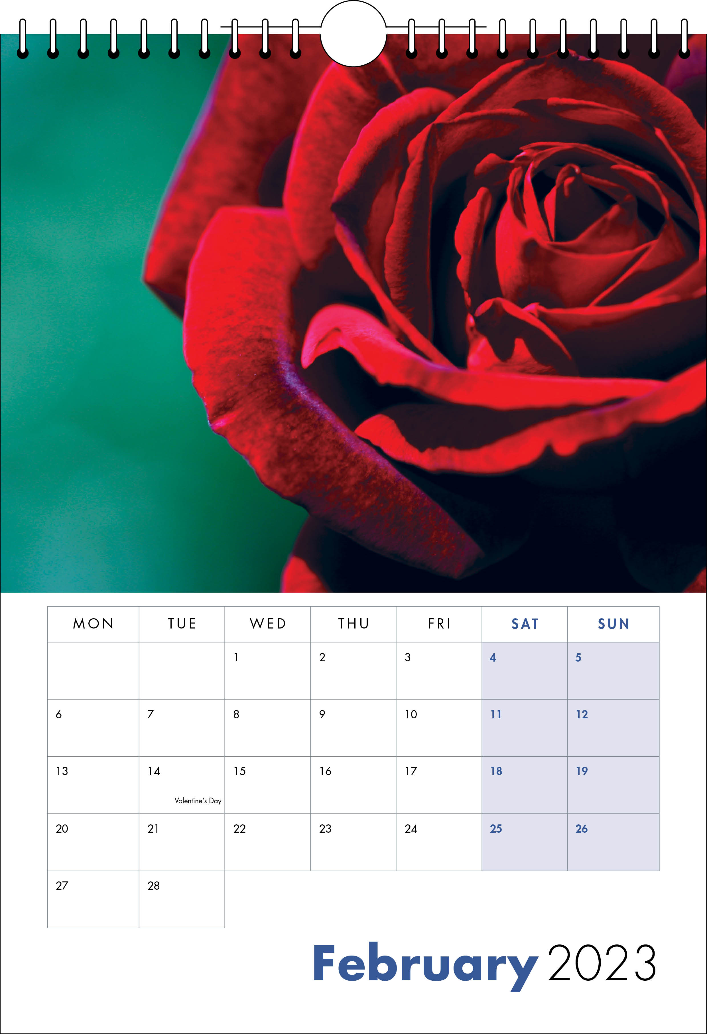 Picture of Spiral Calendar S13 Blue