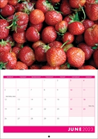 Picture of Booklet Calendar B03 Hot Pink