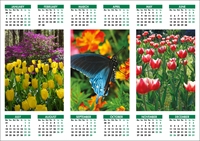 Picture of Yearplanner W02 Green