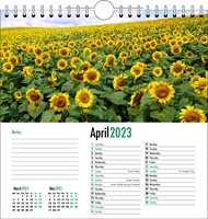 Picture of Spiral Calendar Q04 Green