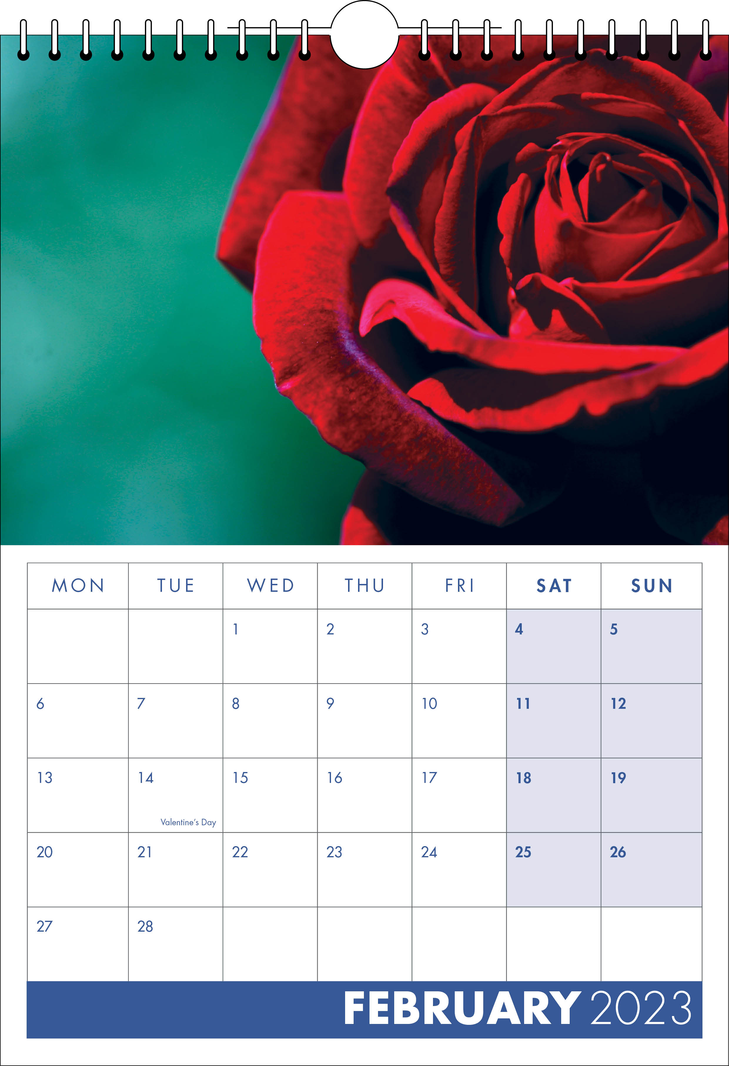 Picture of Spiral Calendar S18 Blue