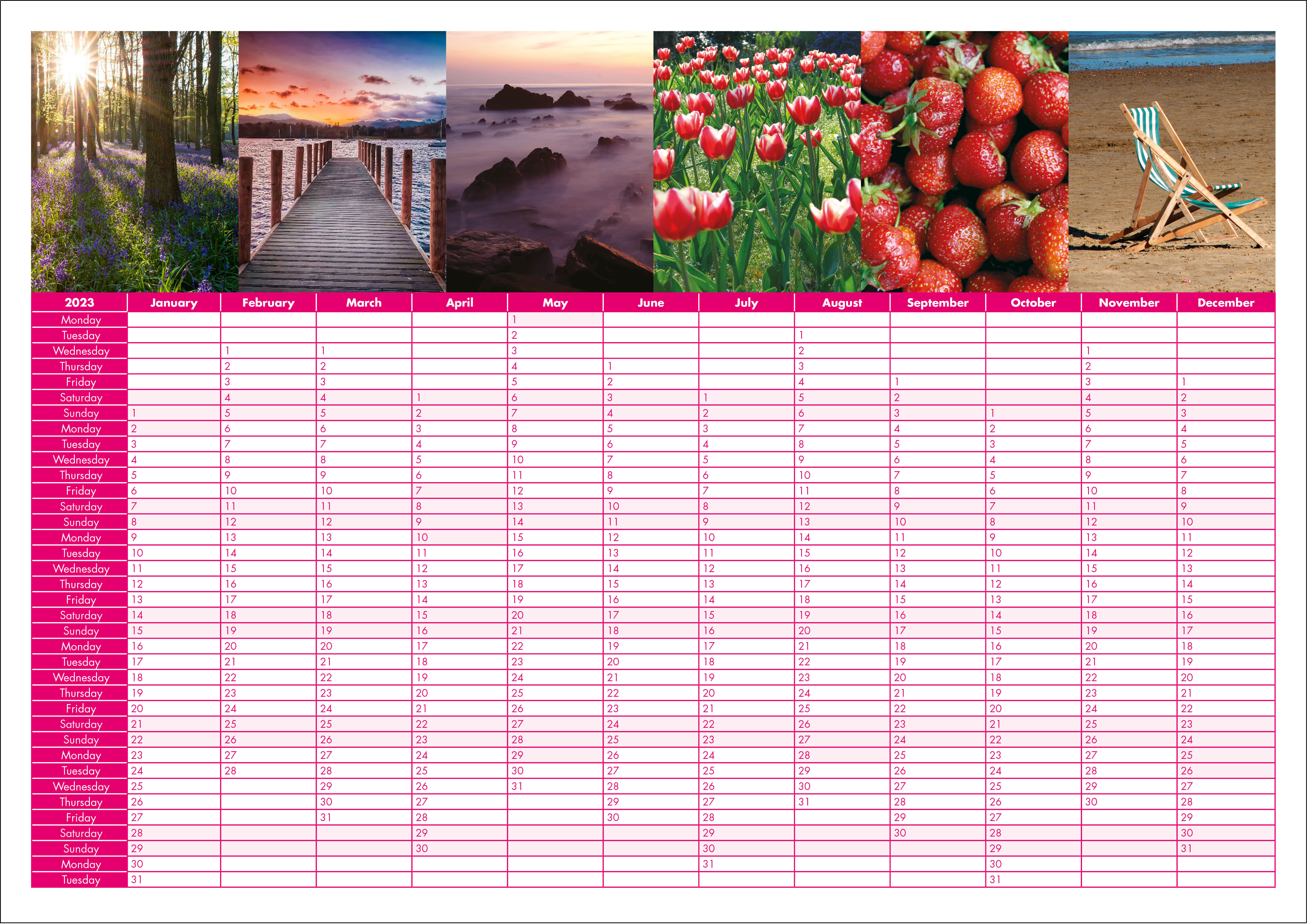 Picture of Yearplanner W09 Hot Pink