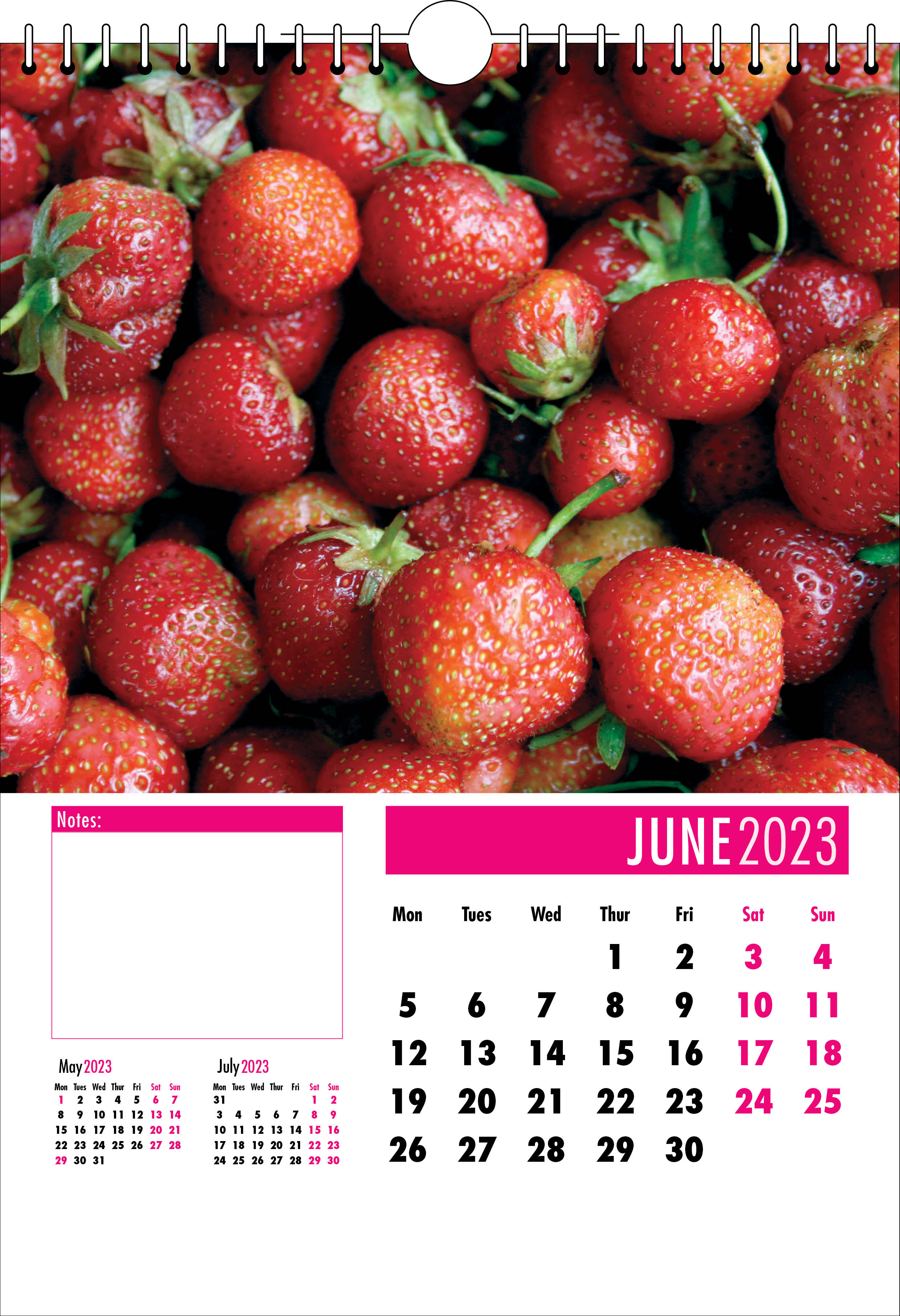 Picture of Spiral Calendar S06 Hot Pink