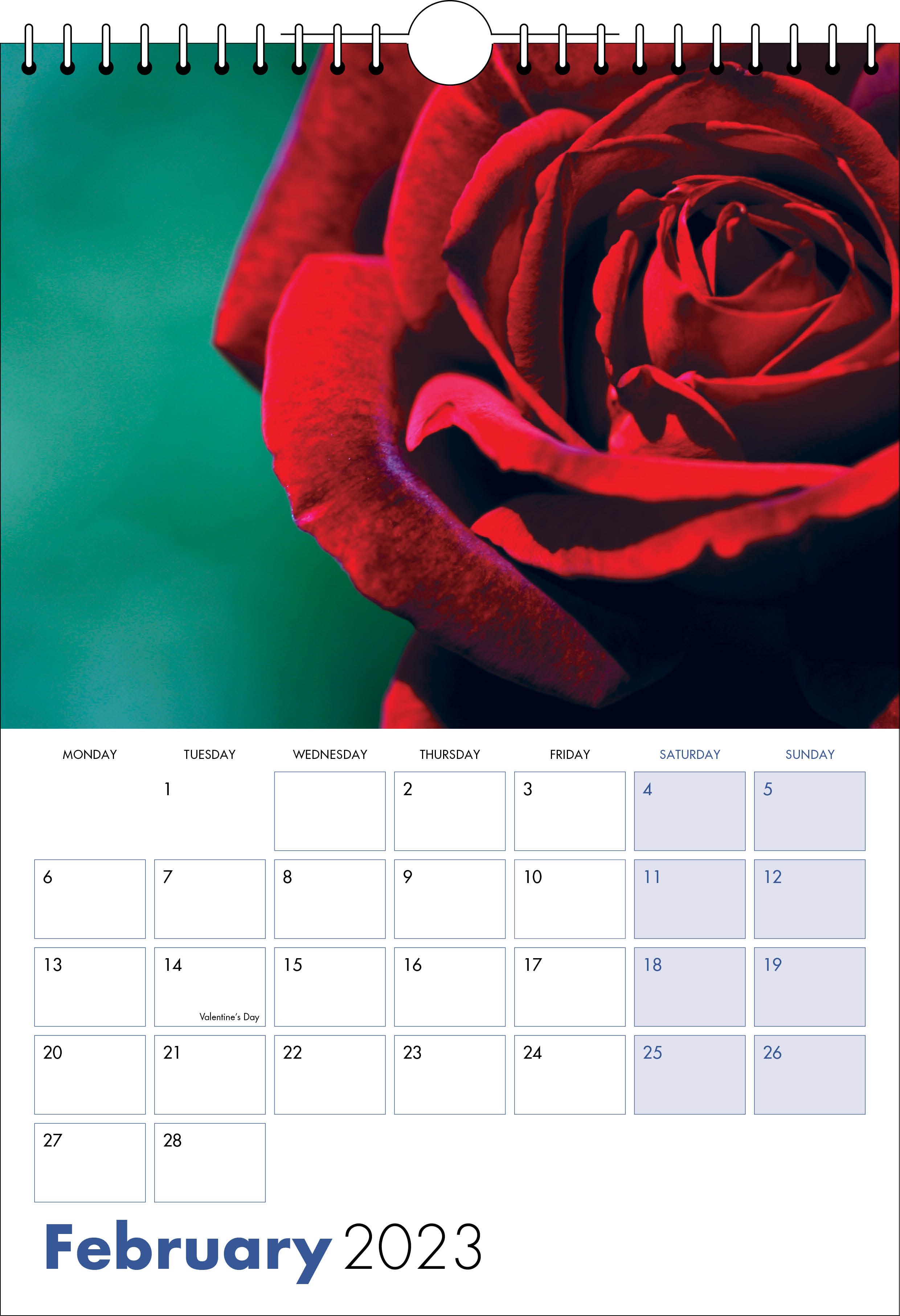 Picture of Spiral Calendar S08 Blue