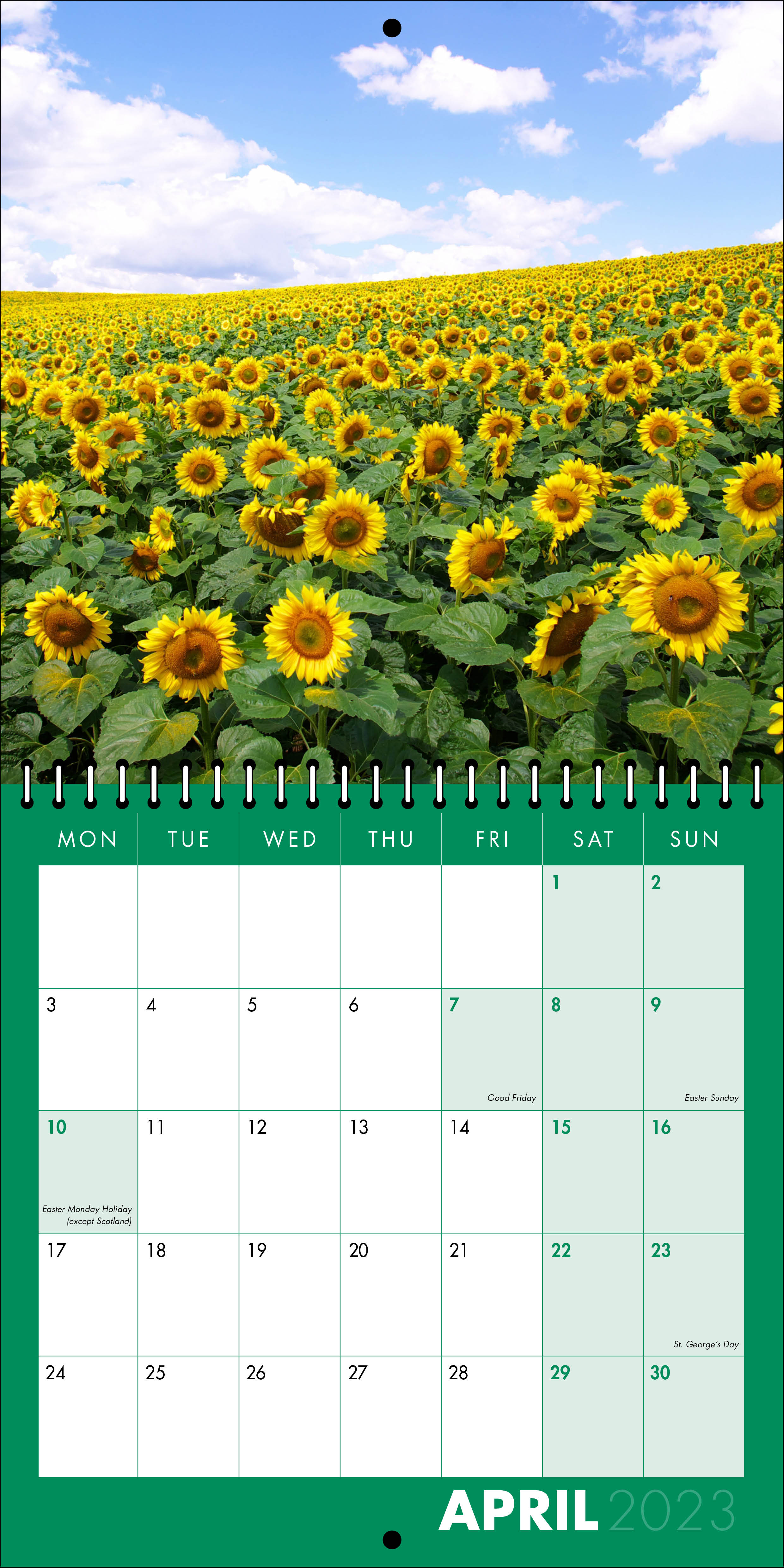 Picture of Square Spiral Booklet Calendar QF05 Green