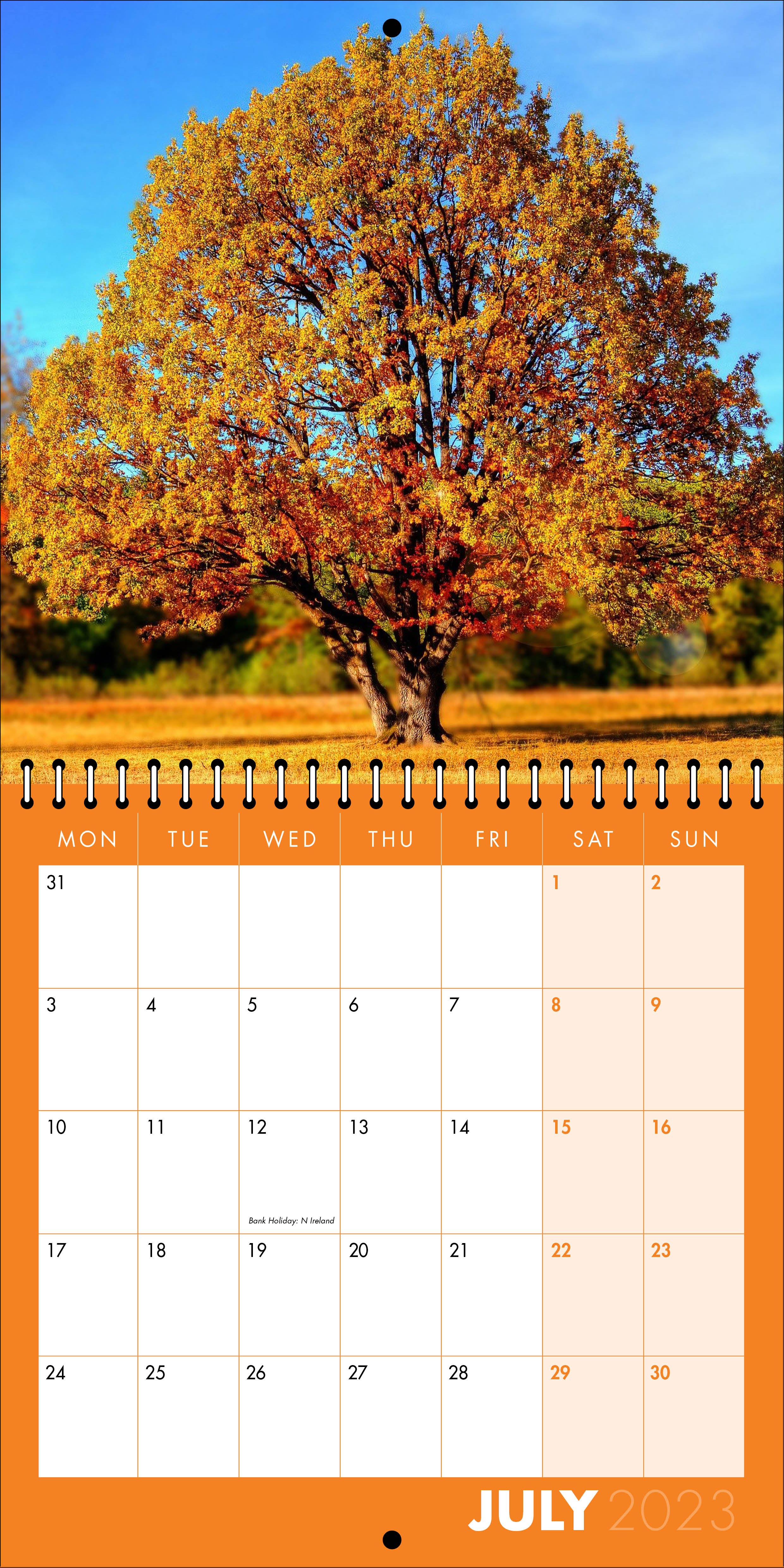 Picture of Square Spiral Booklet Calendar QF05 Orange