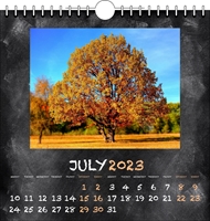 Picture of Spiral Calendar Q16 Orange