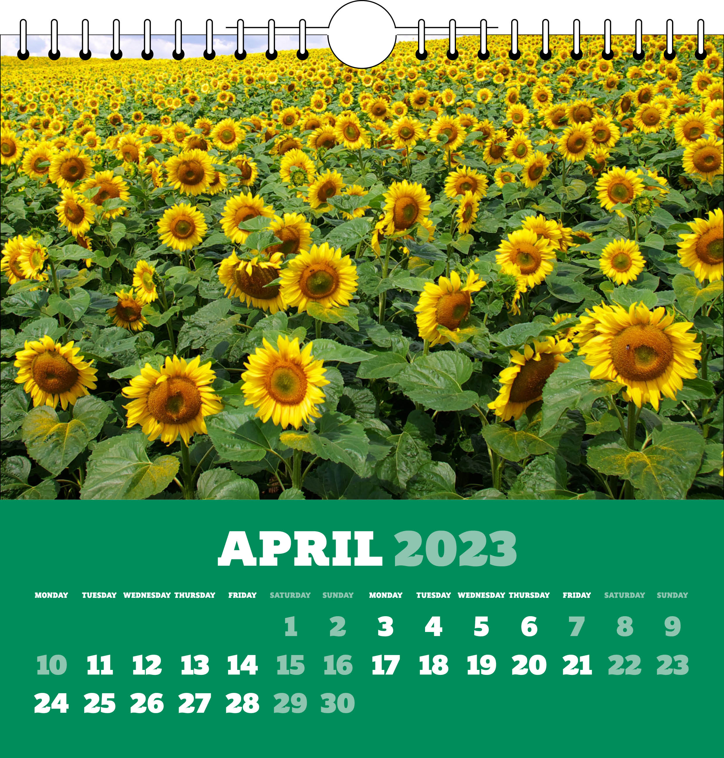 Picture of Spiral Calendar Q19 Green