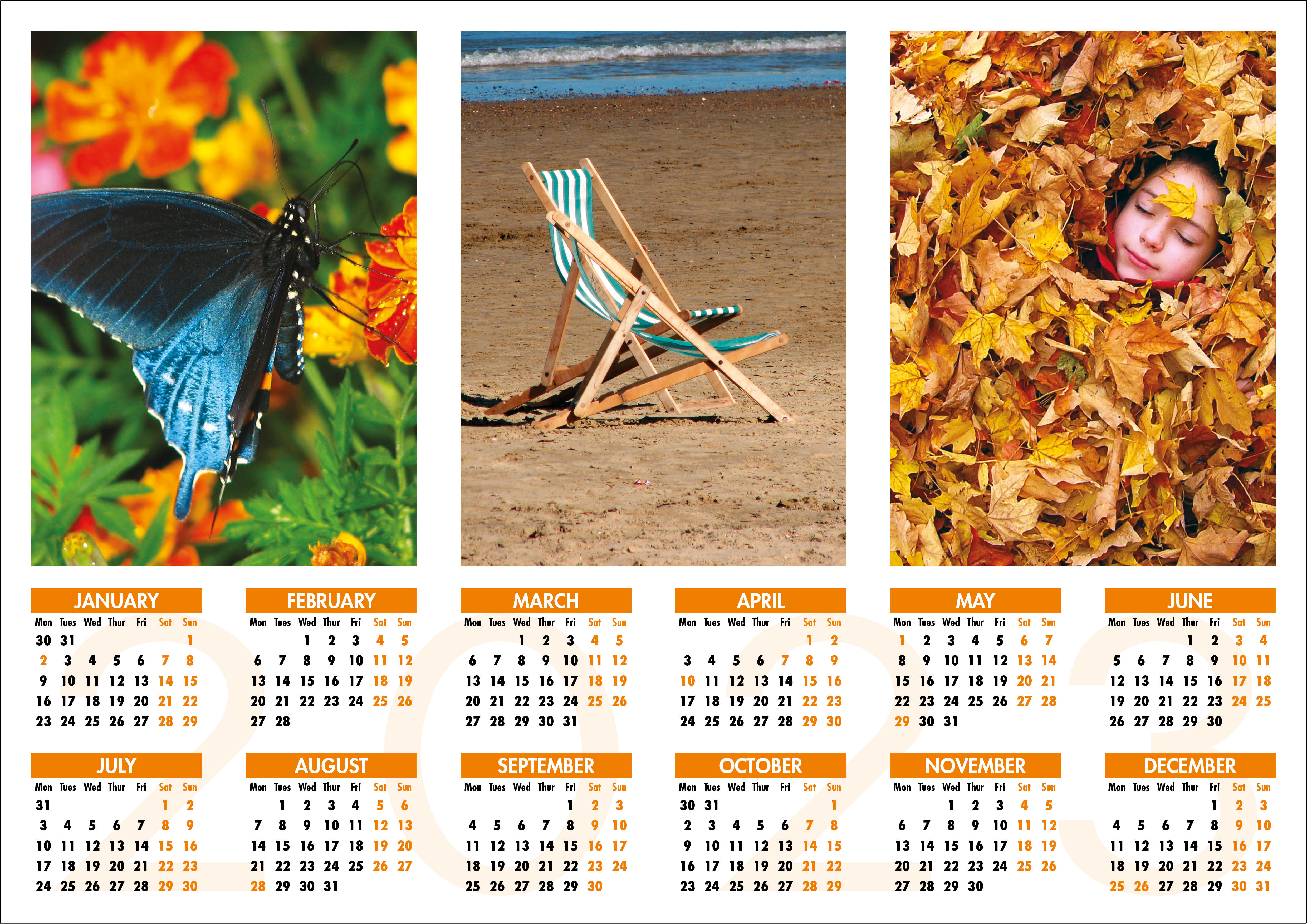 Picture of Yearplanner W05 Orange