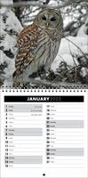 Picture of Square Spiral Booklet Calendar QF03 Black