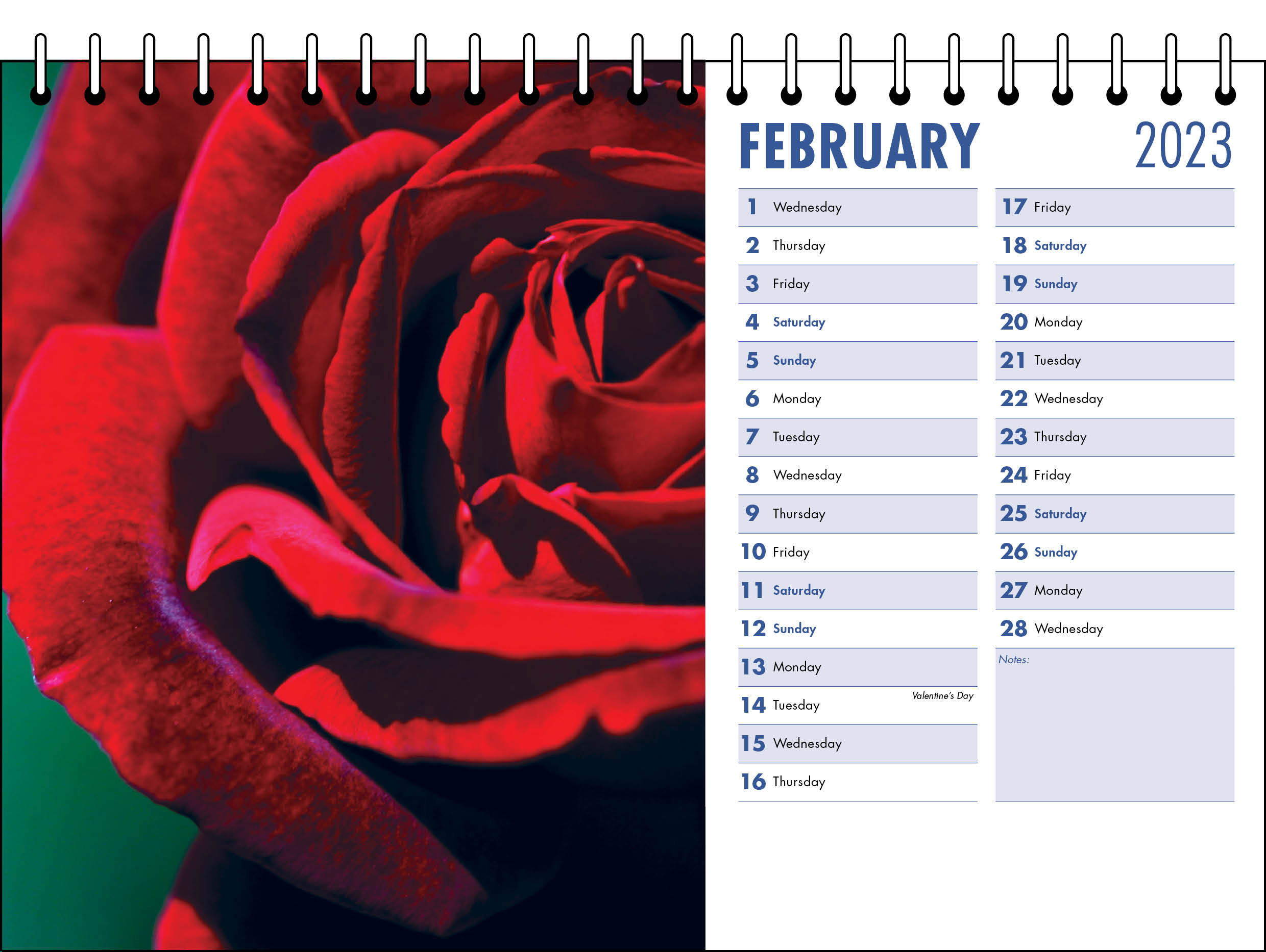 Picture of Desk Calendar D05 Blue
